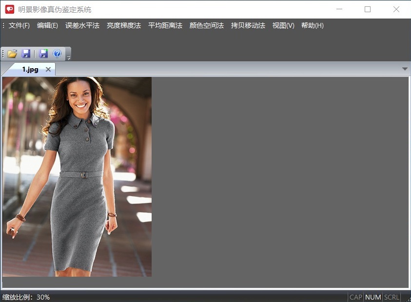 人生就是博官网影像真伪鉴定系统