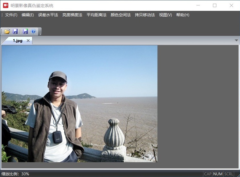 人生就是博官网影像真伪鉴定系统