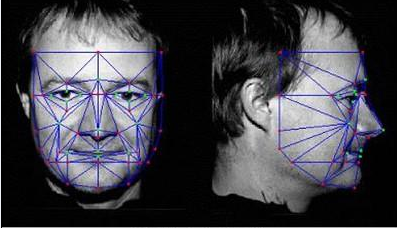 人生就是博官网人像鉴定分析系统